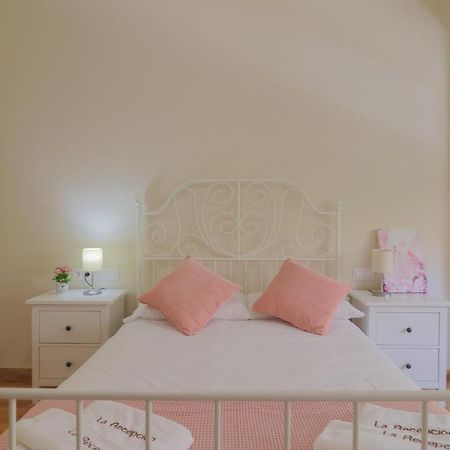 C102 - Huge And Stylish 5 Bedroom By The Center Málaga Eksteriør bilde